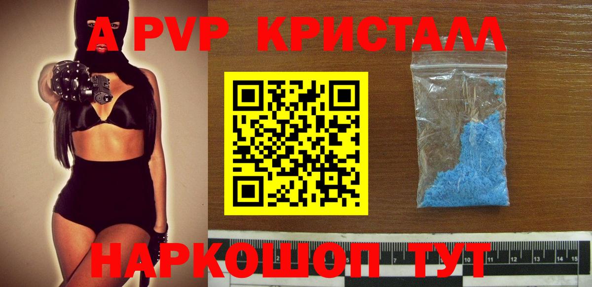 как найти наркотики  А ПВП  A PVP СК  Карачаевск  Вход с VPN  A-PVP крисы CK  A PVP кристаллы 